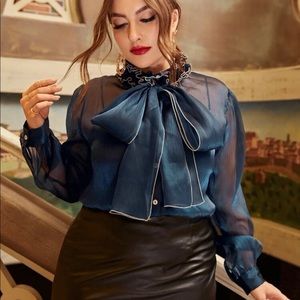 Stunning Mesh Tie Neck Blouse